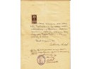 Zezwolenie wydane Zofii Pankiewiczównej na zawarcie związku małżeńskiego z sierż. sztabowym Stanisławem Mazurem, Sanok 20 XII 1921