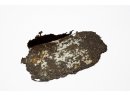 Pokrywka od menażki (fragment)