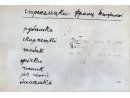 Gryps Franciszka Strzeleckiego